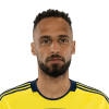 Hany Mukhtar